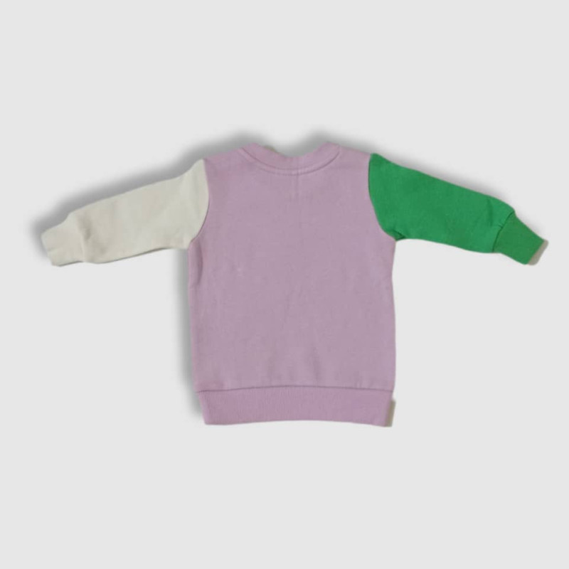 Baby Sweat Set, Fashion Embroidery, Purple & Green