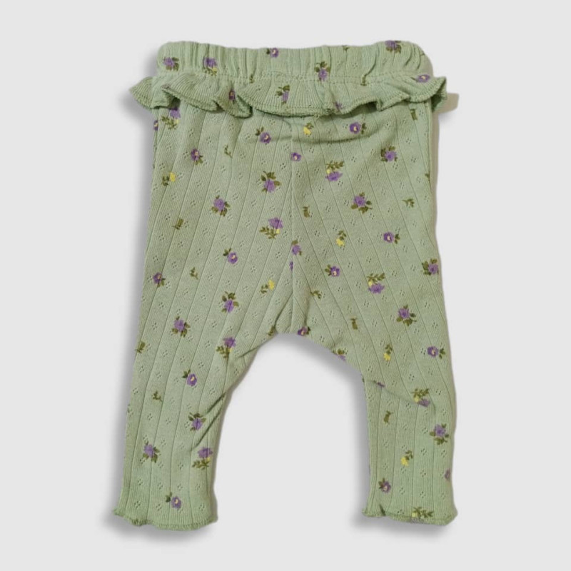 Baby Ruffle-Waist Sweatshirt Dress and legging Set, Fashion Flower Print, Light Green