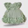 Baby Ruffle Tulle Sleeve Mini Dress, Fashion Flower Light Green